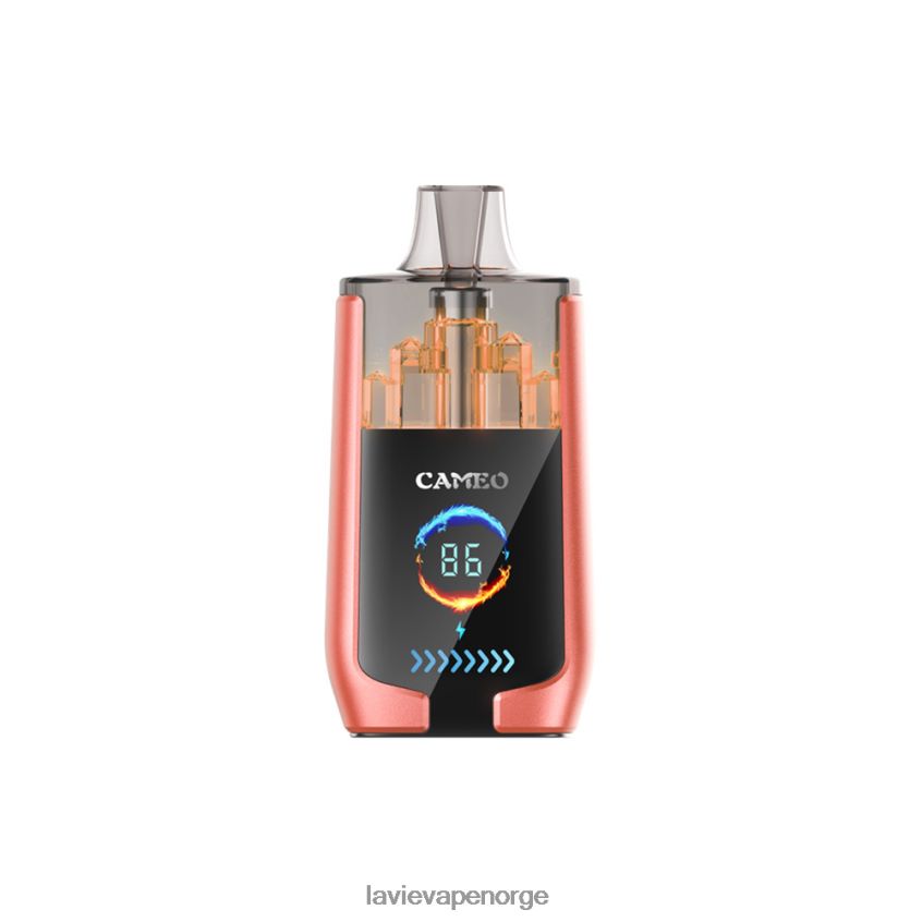 4P826624 Lavie Vape Oslo | jordbær vannmelon LAVIE CAMEO 30 000 drag
